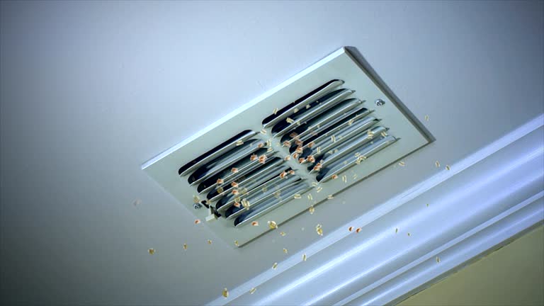 Best Affordable Duct Cleaning Services  in Artesia, CA